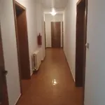 Penzion Lovecký Zámeček Olesnice v Orlickych horach